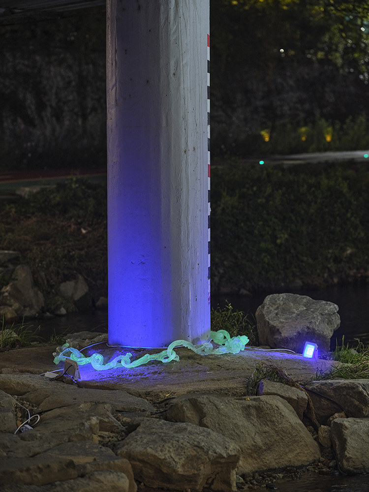 글로리5