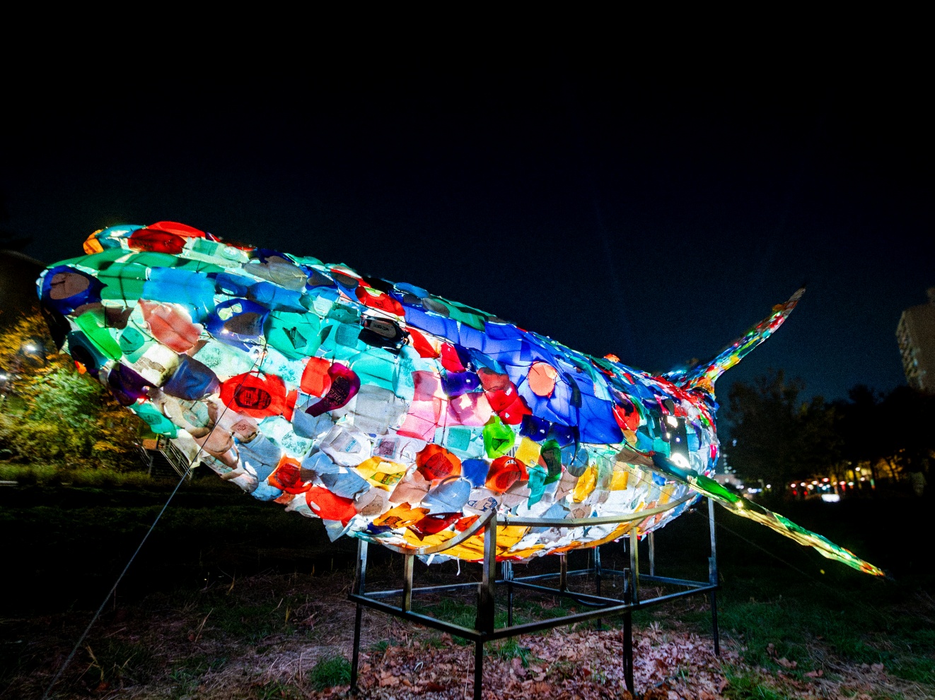 김상연_우주를 유영하는 고래_01