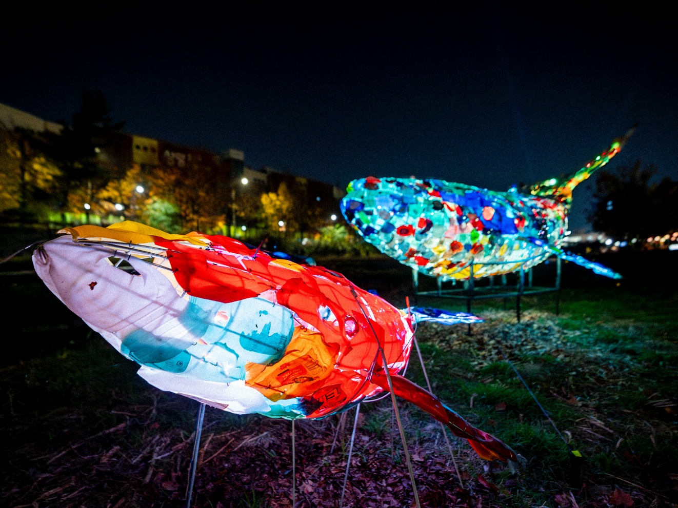 김상연_우주를 유영하는 고래_02