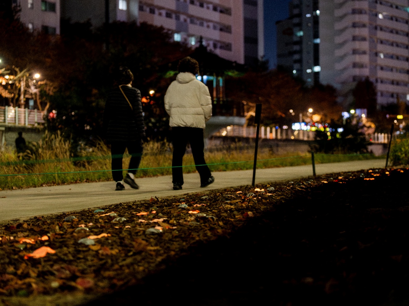 성지현.정동균_발빛_02