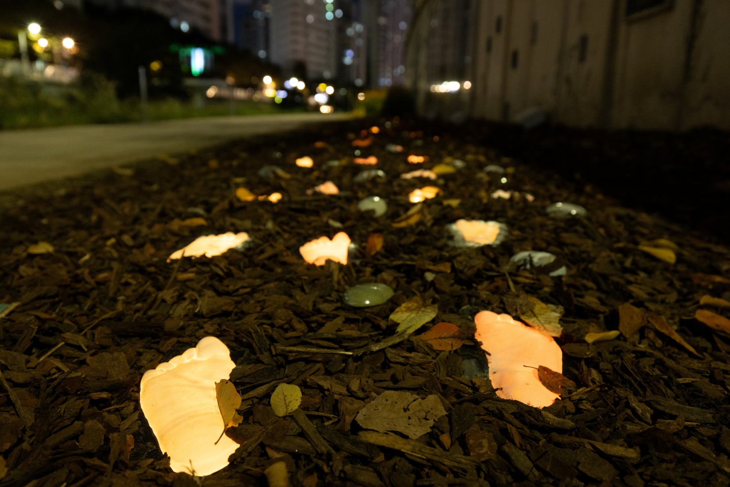 성지현.정동균_발빛_03