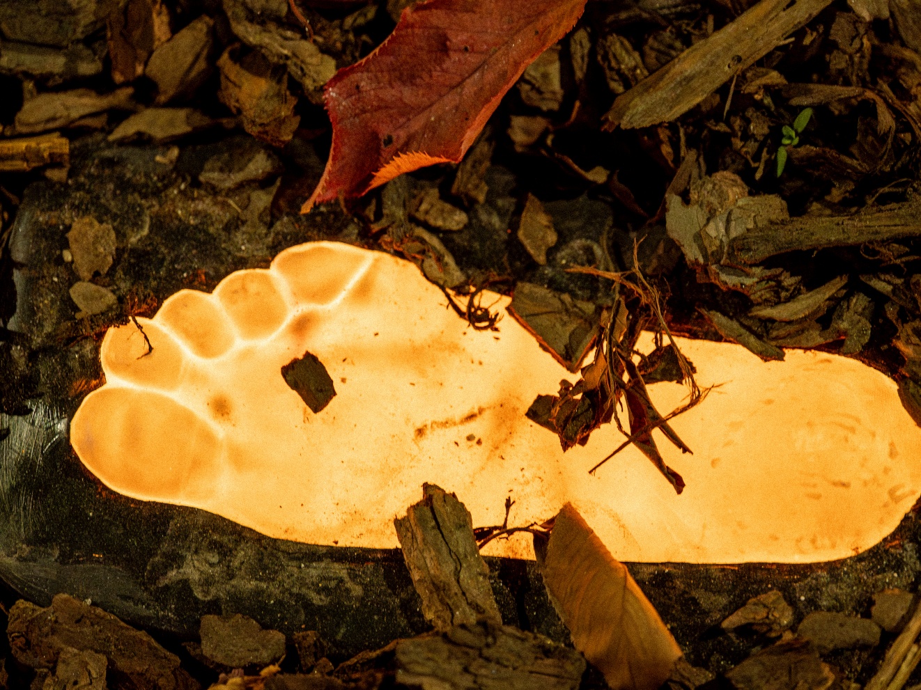 성지현.정동균_발빛_04