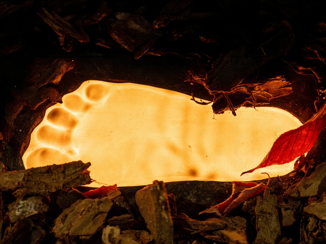 성지현.정동균_발빛_05