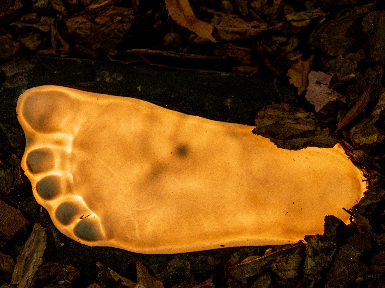 성지현.정동균_발빛_06