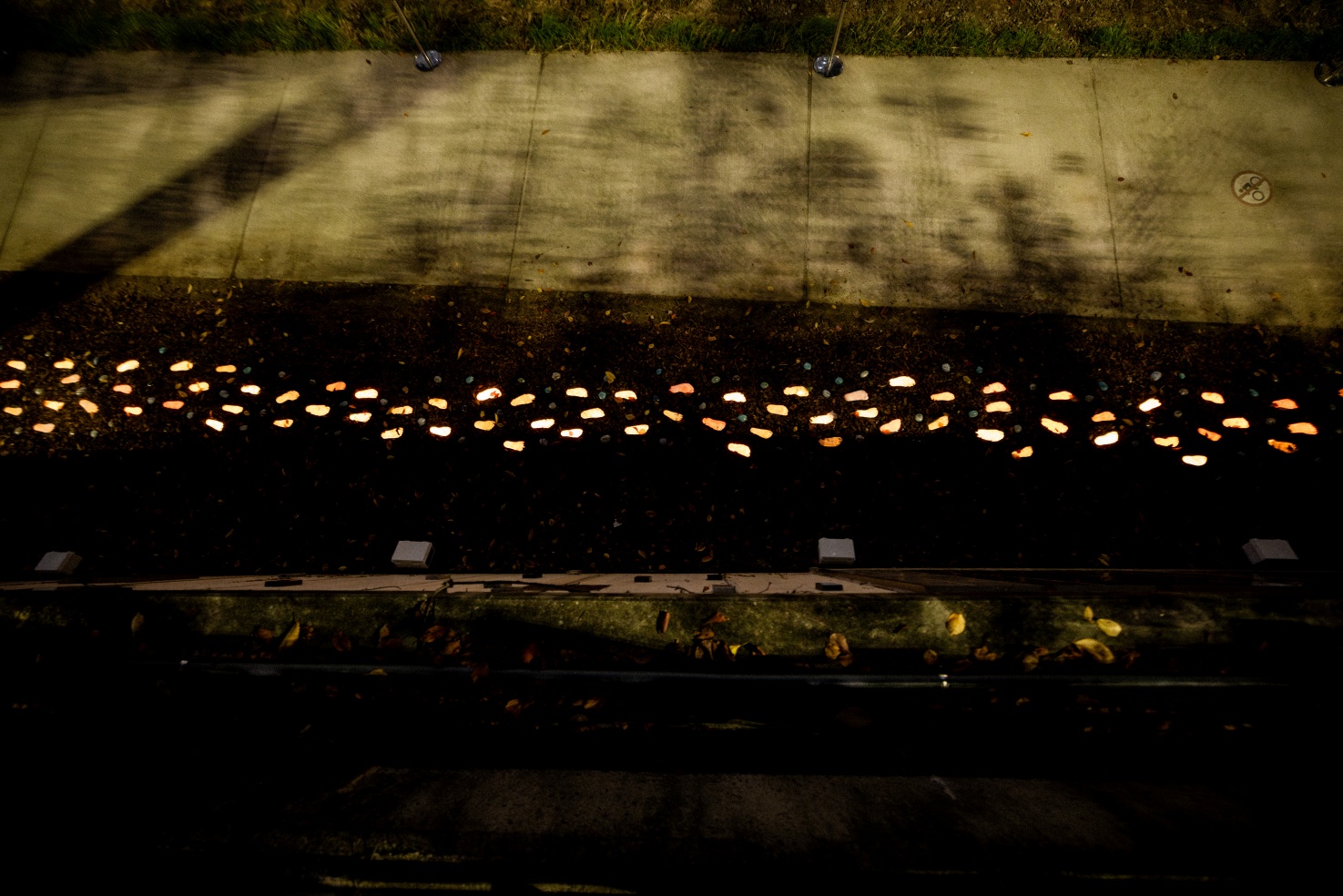 성지현.정동균_발빛_07