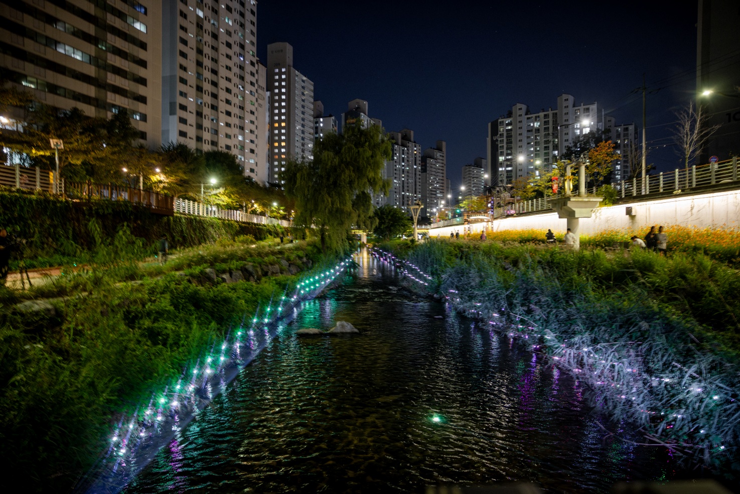 윤제호_월광응답_05