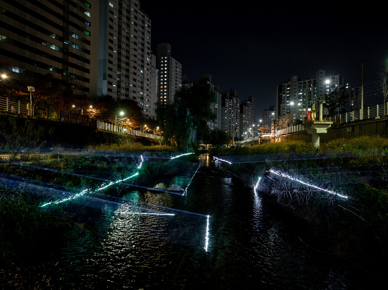 윤제호_월광응답_06