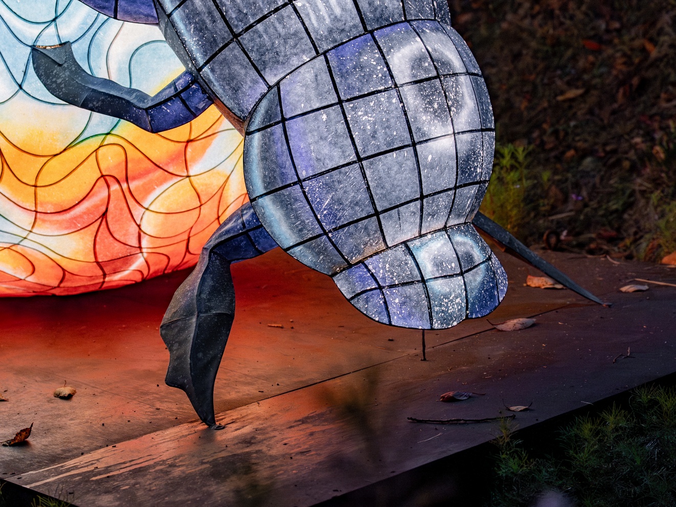 장진익_생태의 균형_01