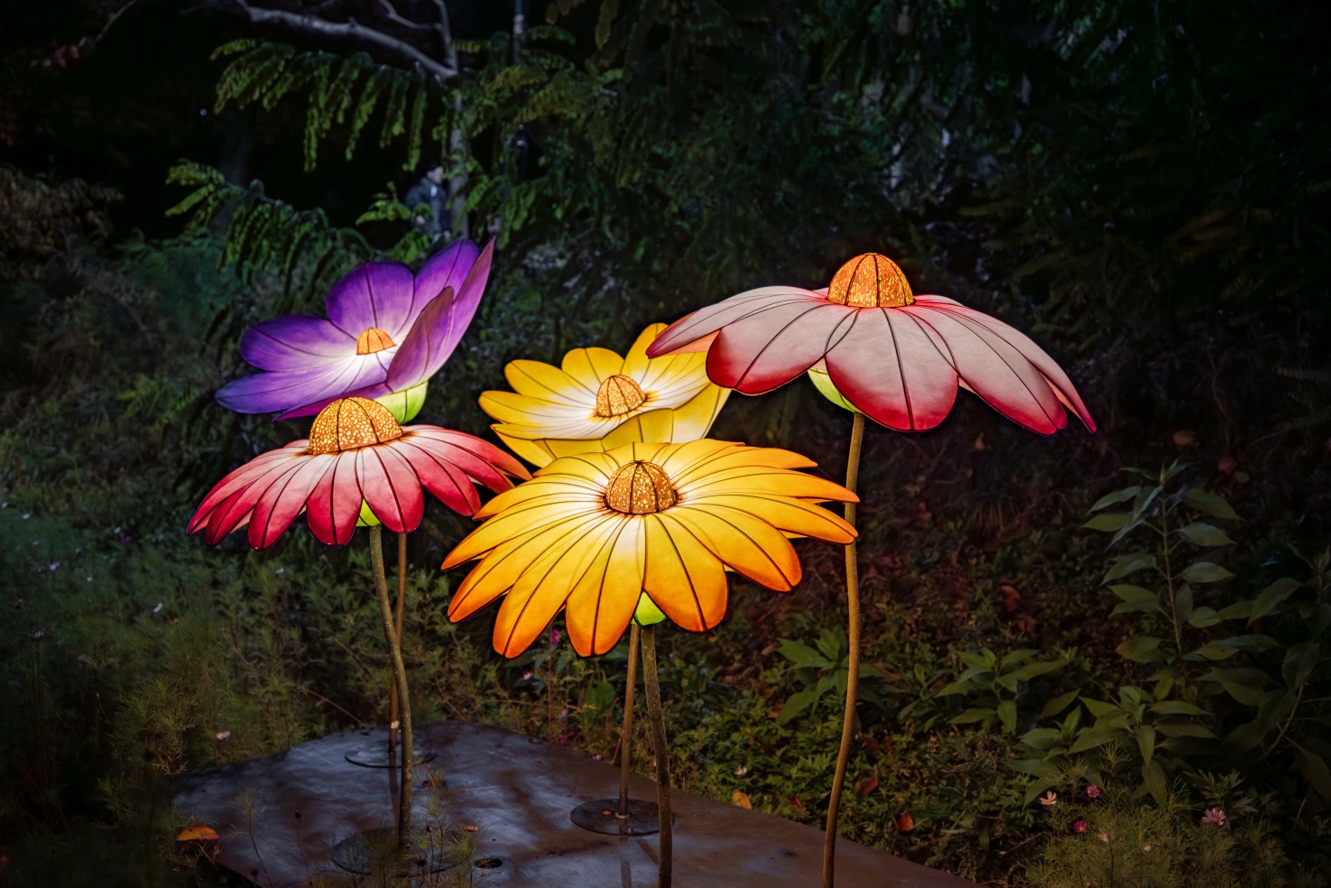 장진익_생태의 균형_04