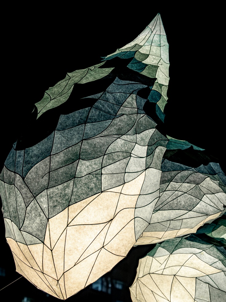 전스튜디오_조화_03