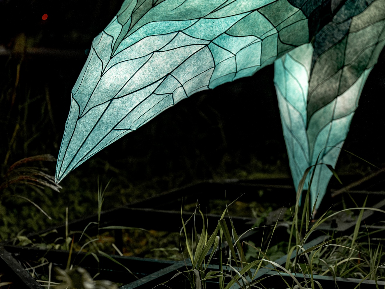 전스튜디오_조화_05