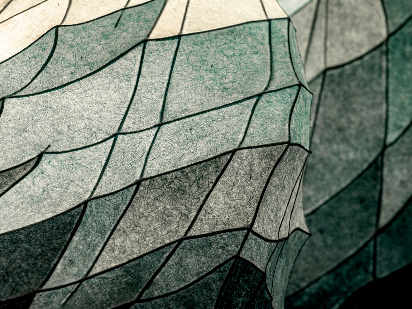 전스튜디오_조화_06