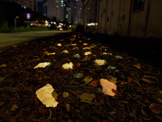 09.발빛