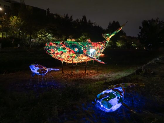 16.우주를 유영하는 고래2-Enhanced-NR