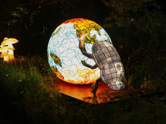 23생태의 균형