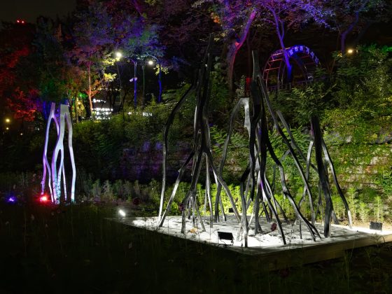 29.숲 홀로서는 사람들-Enhanced-NR